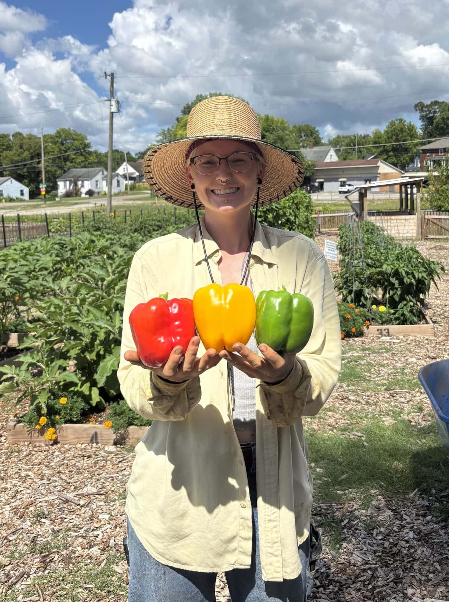 Colorful bell peppers harvested by a smiling person.