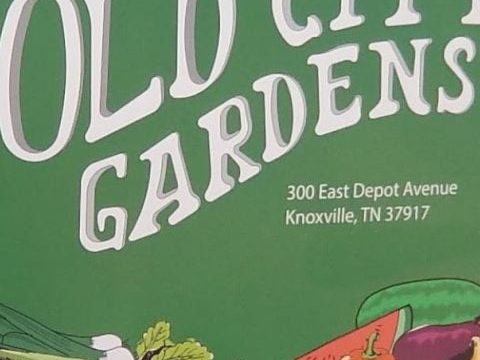 Colorful sign for Old City Gardens featuring fresh vegetables and location details in Knoxville, TN, promoting local community gardening and sustainable food production.