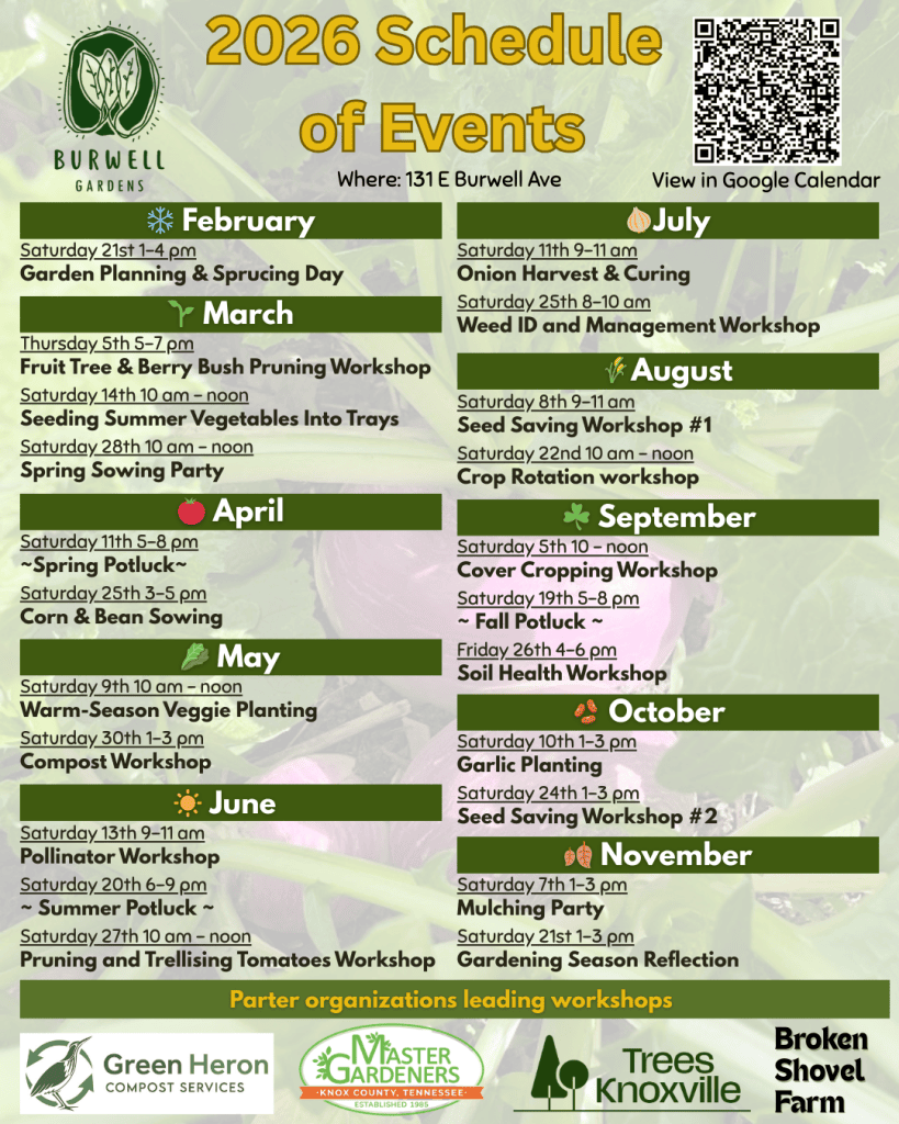 A vibrant community garden with diverse vegetable and flower plots, showcasing local gardening efforts and community engagement.