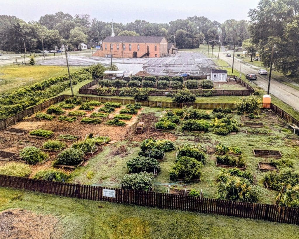 Empowering Community Gardens: Our Commitment to Sustainability and Growth