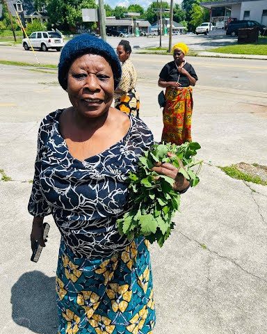 Gardening Class and Tour at Concrete Garden