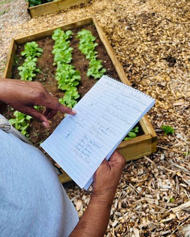 Karolyn and John Barnes Organic Garden at Lennon-Seney United Methodist Church