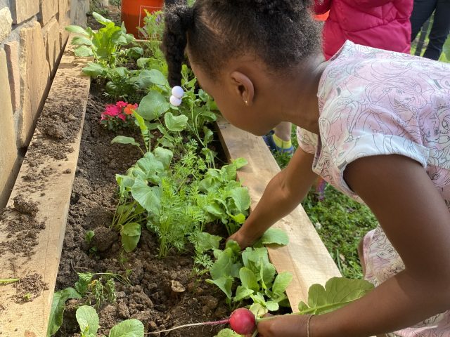 Olive Tree Early Learning Academy