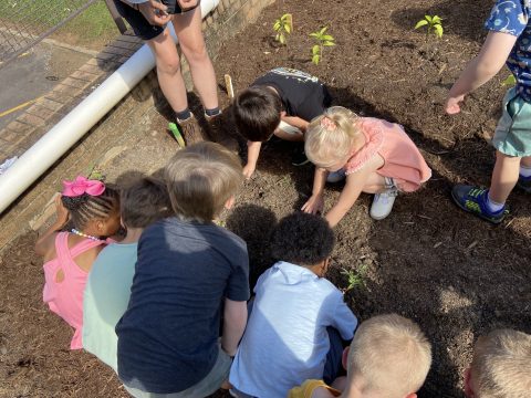 SHADES of Development - Fort Sanders Educational Development Center