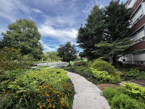 A lush community garden at Fulton High School with vibrant plants, trees, and flowers, providing a green space for students and residents to enjoy nature and outdoor activities.