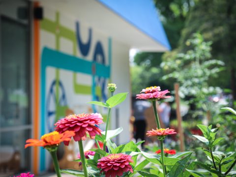 Colorful flowers in front of Knox County Community Garden with Growers Alliance signage, promoting urban gardening and community engagement.
