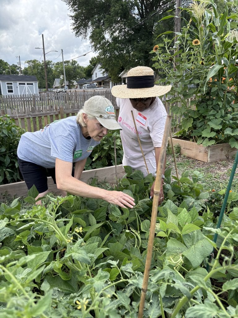 Tackling Summer Garden Pests & Diseases with the Knox County Master Gardeners