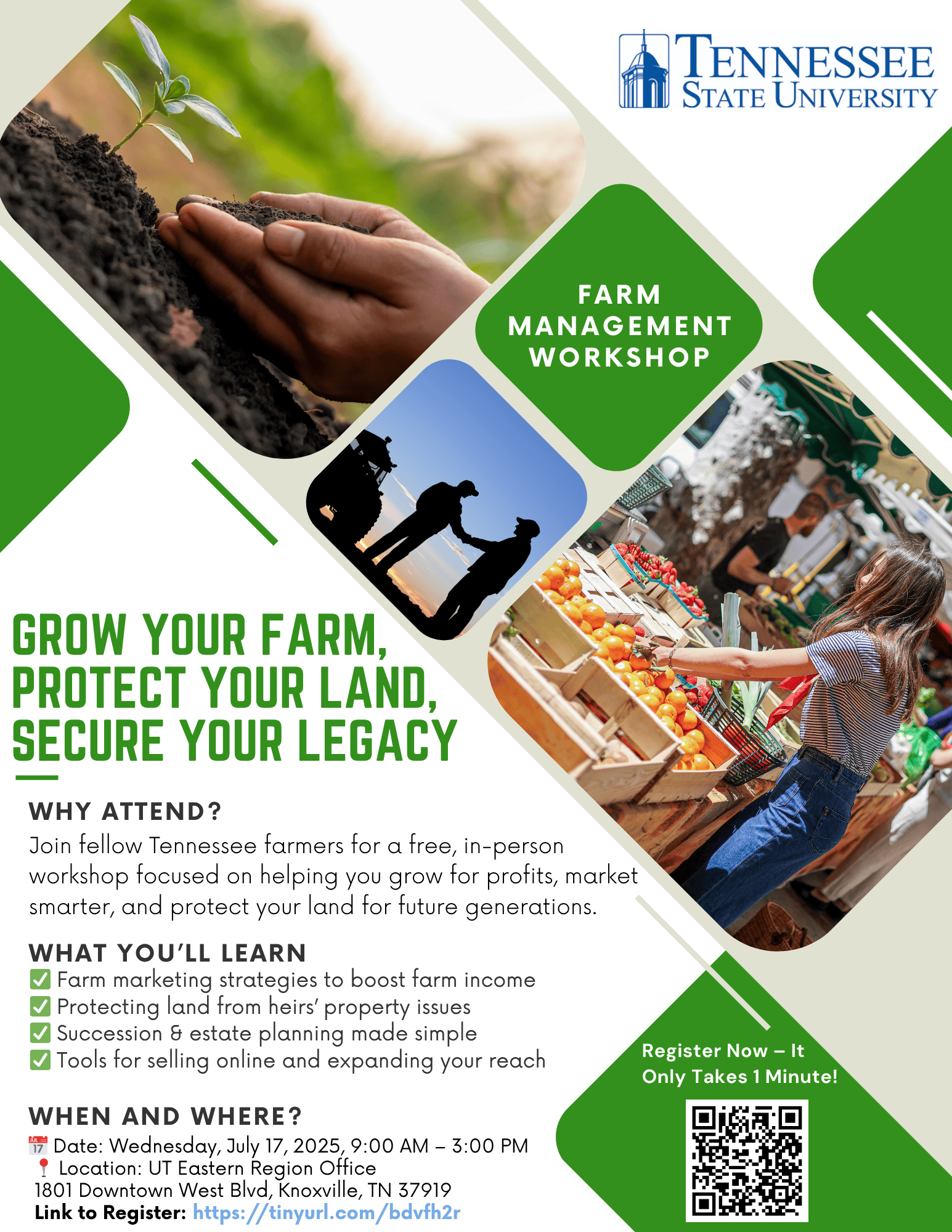 Growing young plant in soil with hands, symbolizing sustainable farming practices.