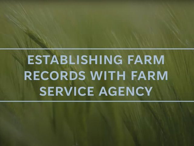 Membership Meeting: Farm Numbers and Records (Part 1)
