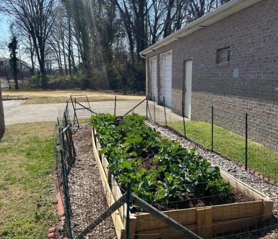 Monthly Membership Meeting