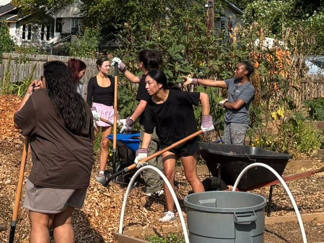 UT MEDLIFE Students Volunteer