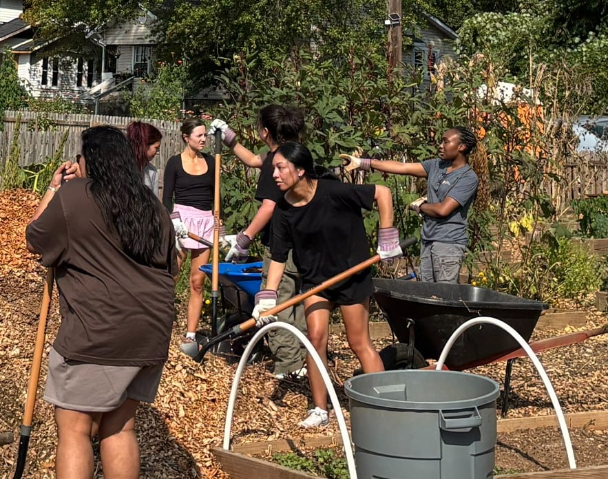 UT MEDLIFE Students Volunteer
