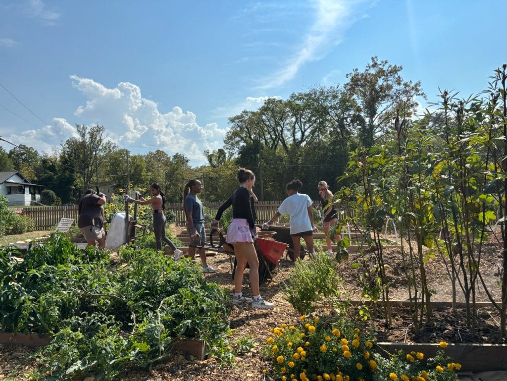 Community garden with diverse volunteers working on planting and maintenance under a bright blue sky with fluffy clouds in Knox County, Tennessee.