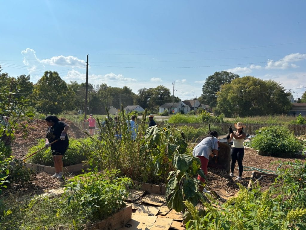 Volunteers working in a community garden, planting and tending crops on a sunny day with a clear blue sky, fostering local food growth and community engagement in Knox County.