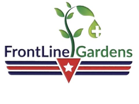 Green plant sprouting from a red and white shield with star, symbolizing growth and community health.