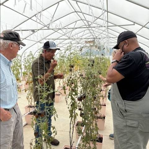 A Visit to Dream Valley Farm: Innovation, Soil, and Sustainable Growing