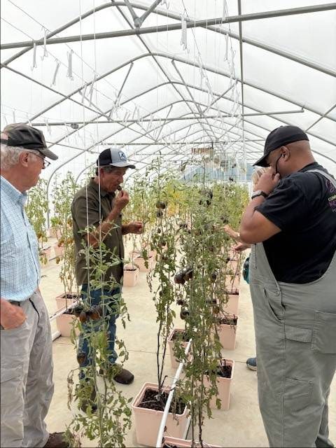 A group of people exploring a vibrant greenhouse filled with lush green plants and thriving garden spaces, showcasing community gardening and sustainable food practices.