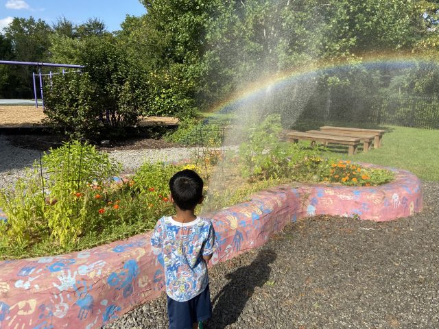 Vestal Boys and Girls Club