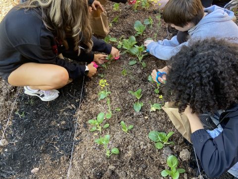 Gresham Middle School