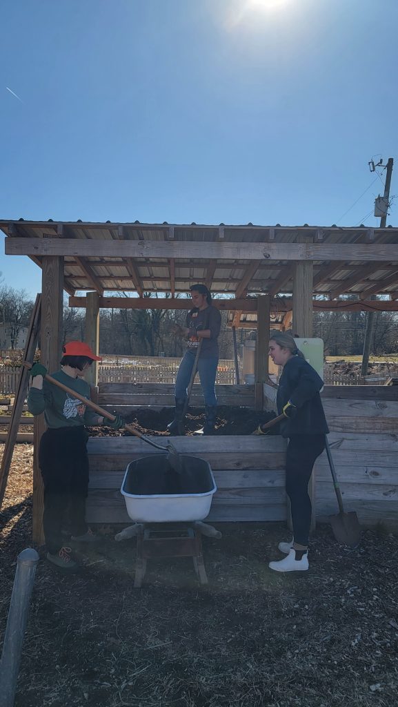 Group of diverse volunteers planting and tending vegetables in a community garden bed, promoting local food growth and community engagement.