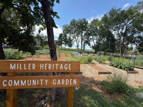 View of Miller Heritage Community Garden with vegetable beds, trees, and a sign in Knox County, Tennessee.