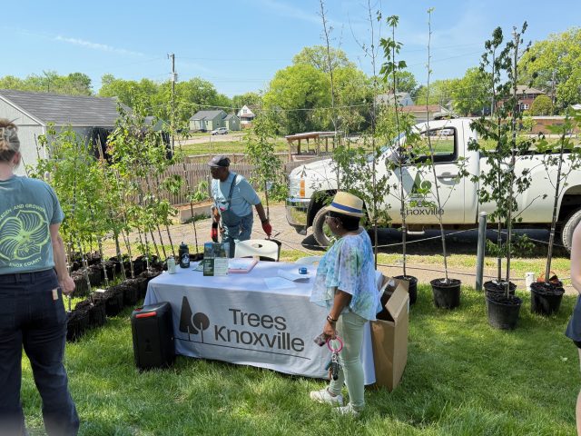 East Knoxville Neighbors and Volunteers Gather at Brown Community Garden for Tree Giveaway, Planting Workshop