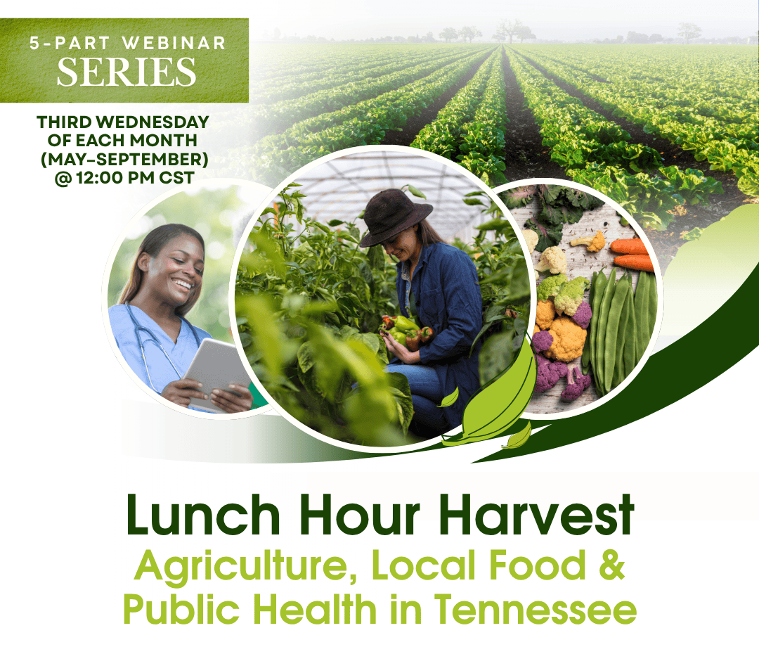 Community members harvesting vegetables at a local garden in Tennessee during a lunchtime event.