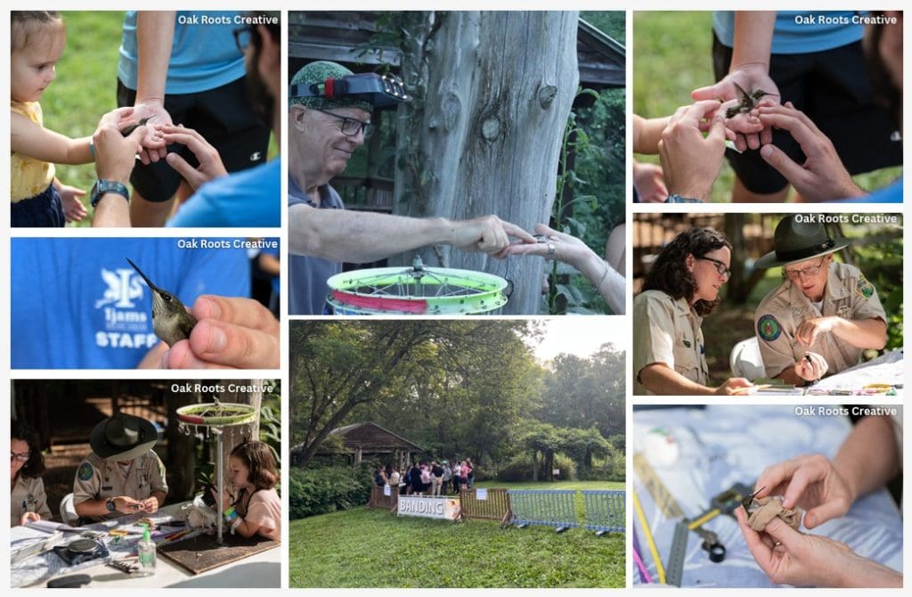 People engaging in community gardening and outdoor activities at Knox County Community Garden, including planting, crafting, and educational sessions.