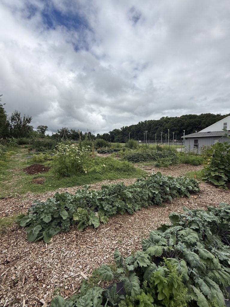 Community garden in Knox County with vegetable plots, lush greenery, and a cloudy sky overhead.