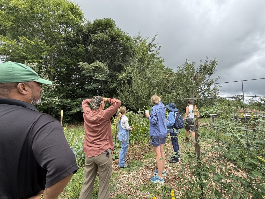 Group of people touring a community garden with lush greenery and vegetable plots, led by a guide, on a cloudy day.