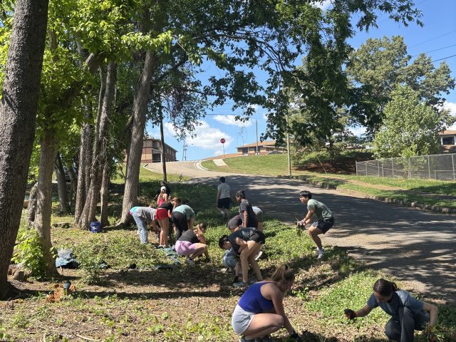 Invasive Clearing Volunteer Day at Miller Heritage Community Garden