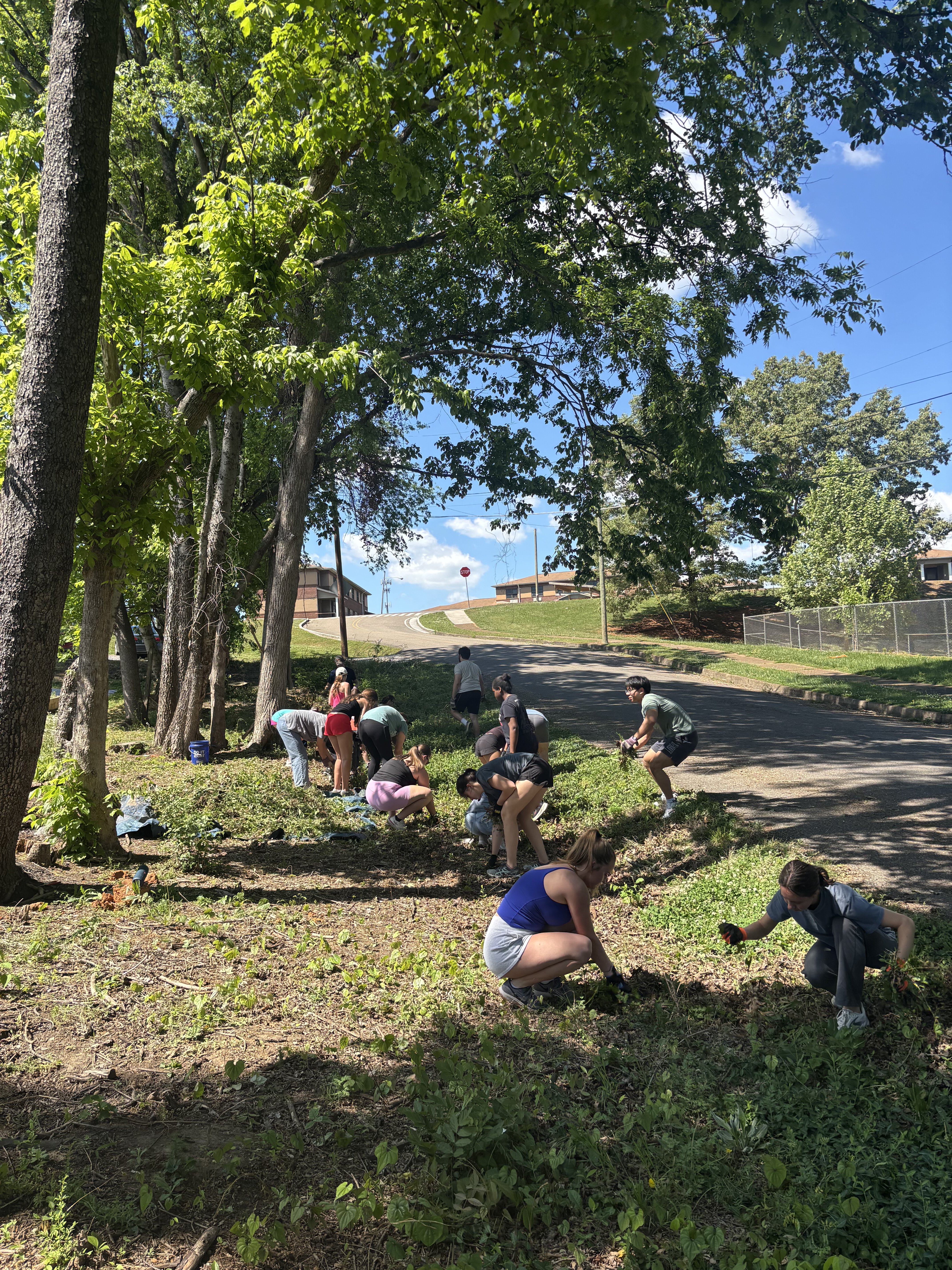 Invasive Clearing Volunteer Day at Miller Heritage Community Garden