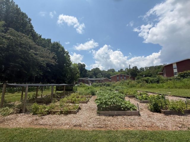 Karolyn and John Barnes Organic Garden