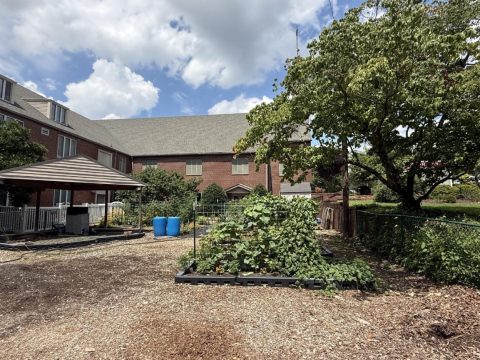 Community garden with raised beds, shade structure, and trees in Knox County, Tennessee, promoting local food production and sustainable gardening.