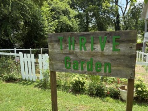 Community garden sign with 'Thrive Garden' in green letters on a wooden board, surrounded by lush greenery and a white picket fence.