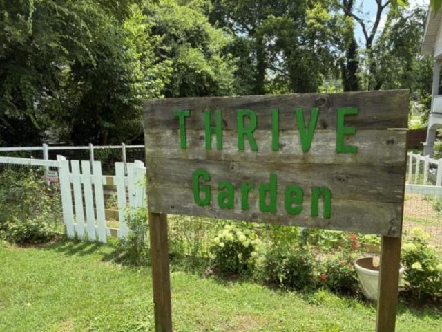 Thrive Lonsdale Community Garden