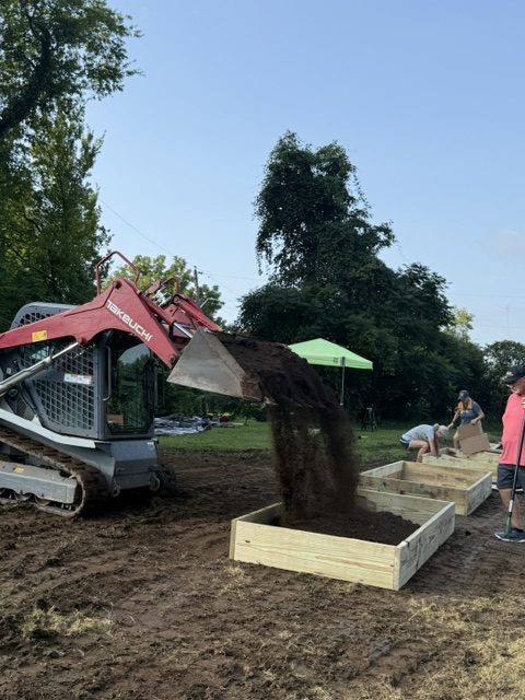 A mini excavator is filling a wooden garden bed with soil at a community garden project, with volunteers working nearby under a clear sky.