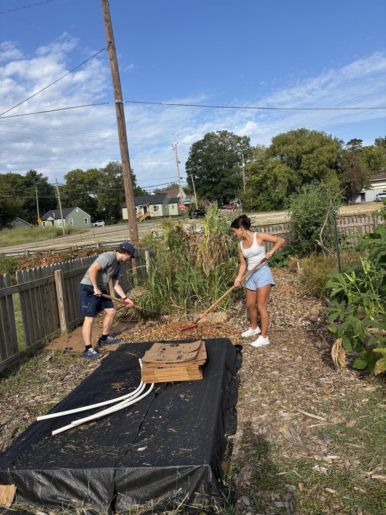 Two volunteers working together in a community garden, tending to plants and soil, with a clear blue sky and residential neighborhood in the background.