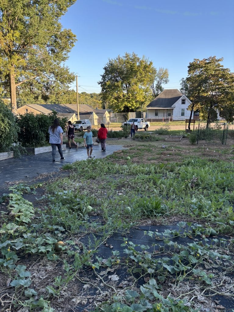 Community members gather at Knox County Community Garden during fall, engaging in gardening activities and enjoying the outdoor environment.