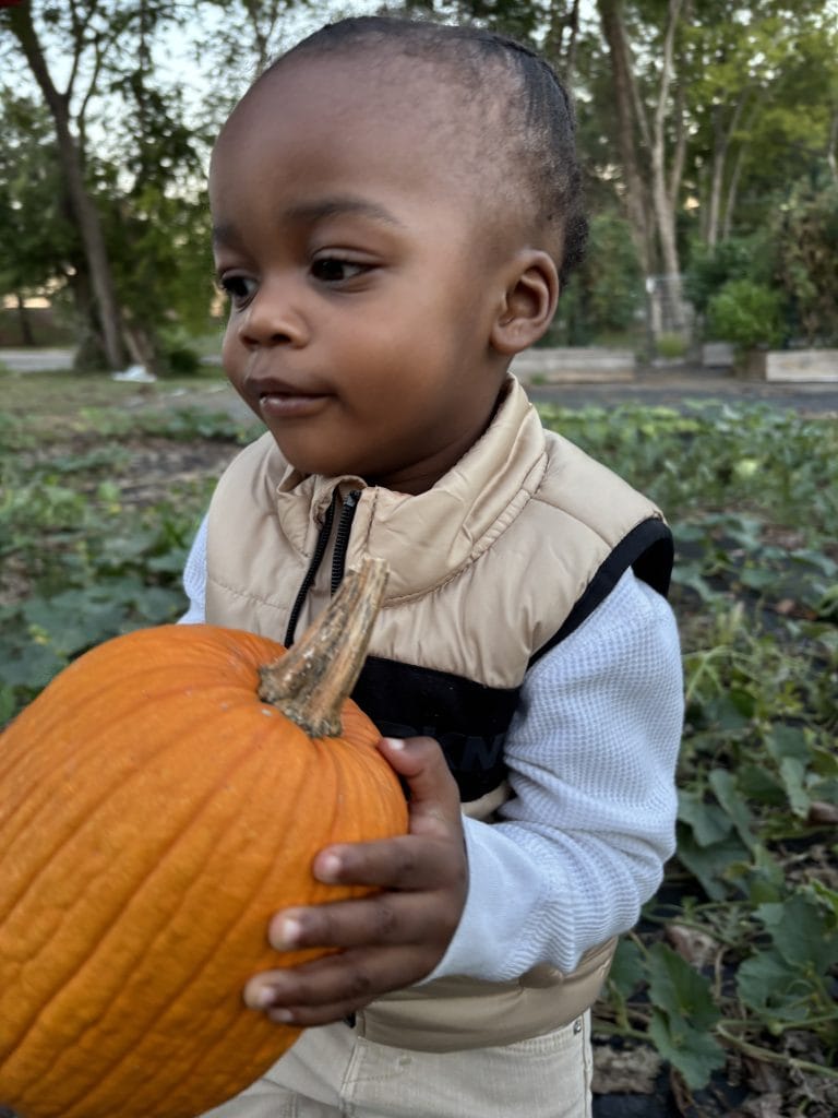 Young child holding a large pumpkin in a community garden with trees and plants in the background.